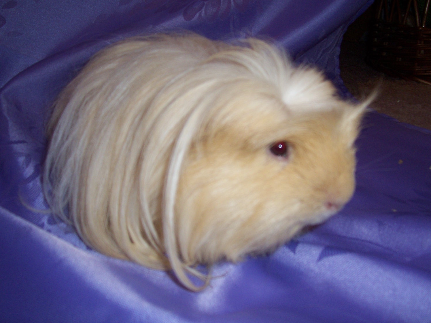 000_1275.JPG
