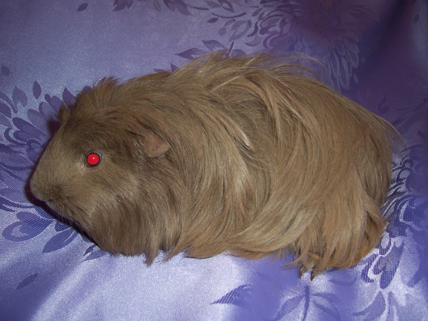 000_1263.JPG